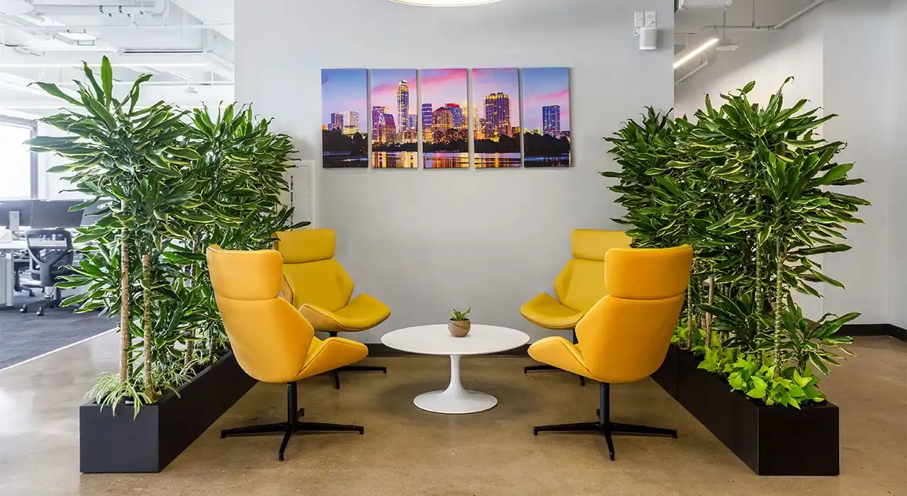 benefits of Biophilic design in offices