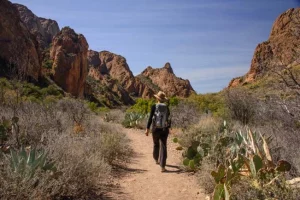 easy hikes big bend